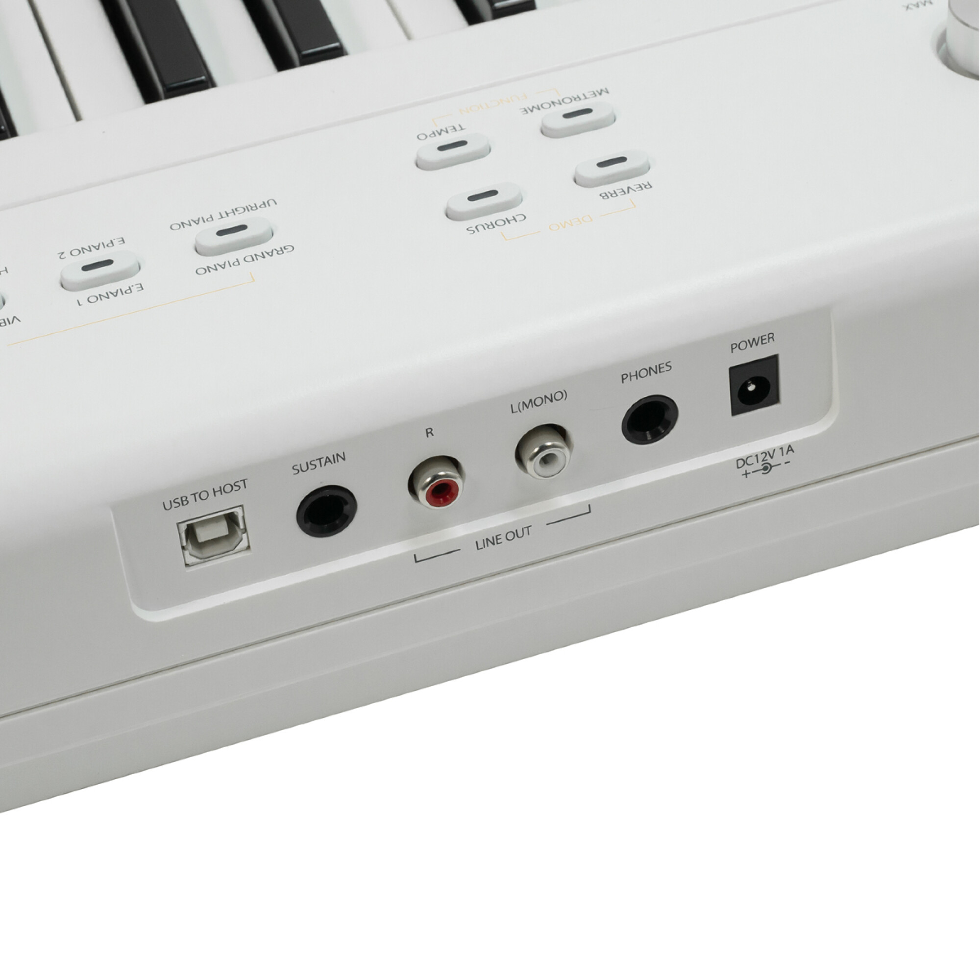 Piano Digital Artesia Performer White - Imagen 4