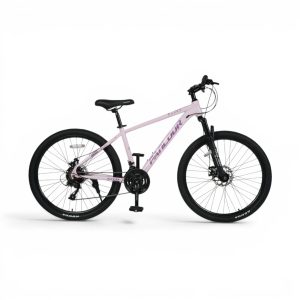 Bicicleta MTB PANLOOR RACER Rodado 26