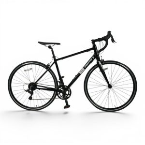 Bicicleta Fortis Urban Master Road